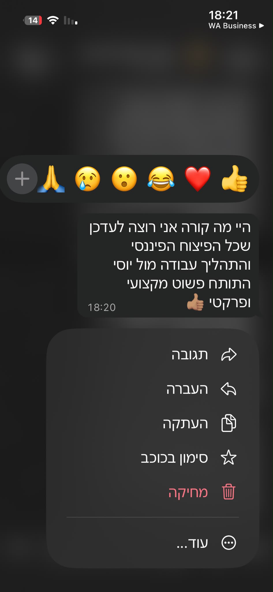 ביקורת לקוח 3