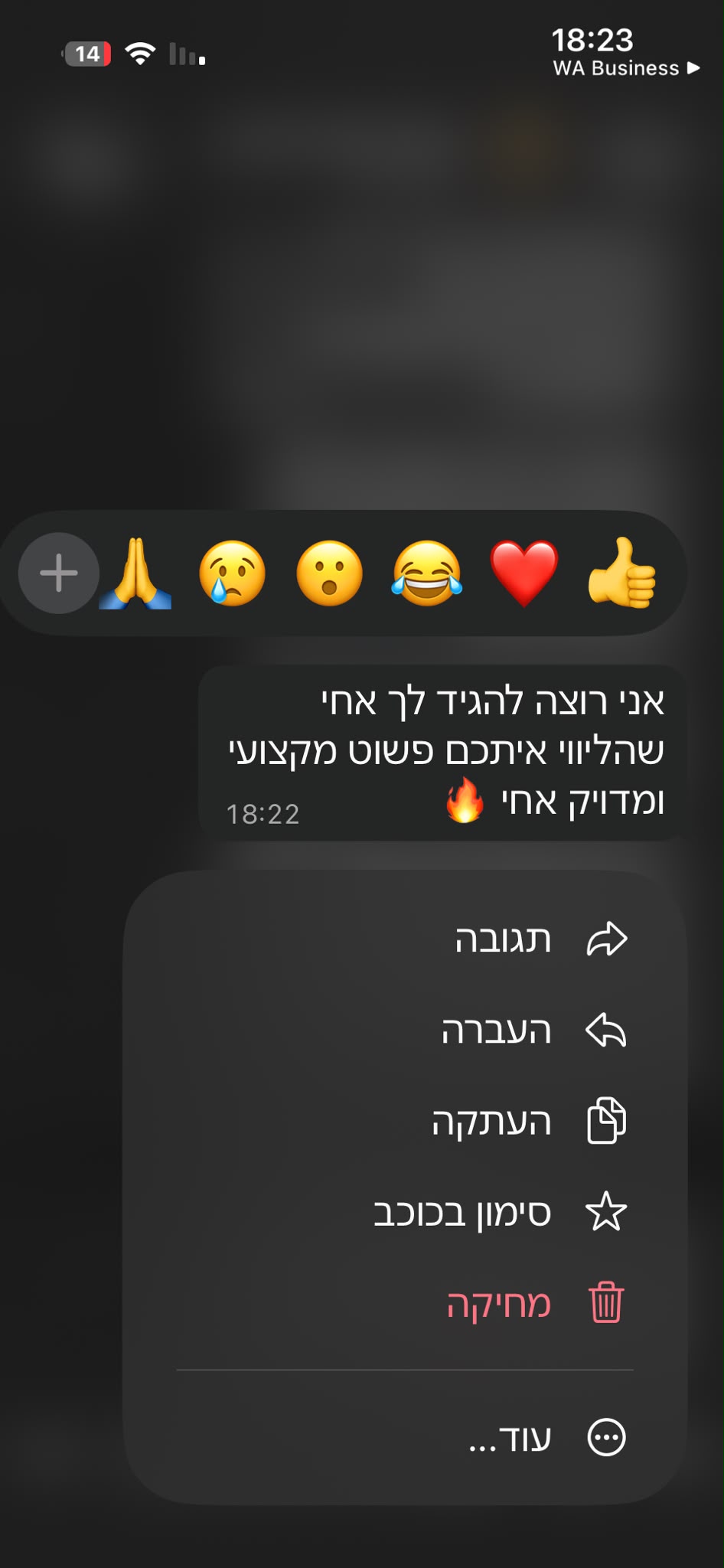 ביקורת לקוח 1
